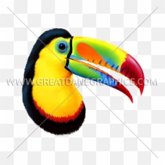 Toucan Production Ready Artwork For T - Shirt Printing Toco Toucan Png,Toucan Png