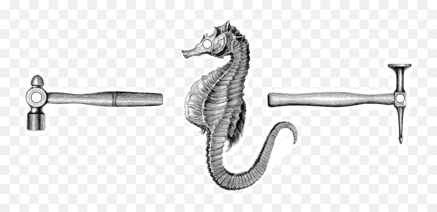 Seahorse With Hammers - Tools Icon Ashes Still Water Boats Botanical Illustration Seahorse Png,Tools Icon Png