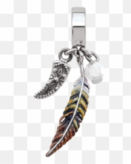 Download An Enamel Eagle Feather - Bead PNG Image with No Solid