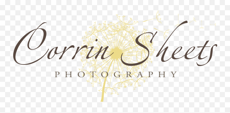 Family Photographer Corrin Sheets Photography - M Thc Png,Corrin Png