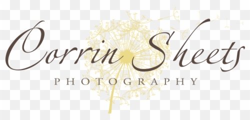 Family Photographer Corrin Sheets Photography - M Thc Png,Corrin Png
