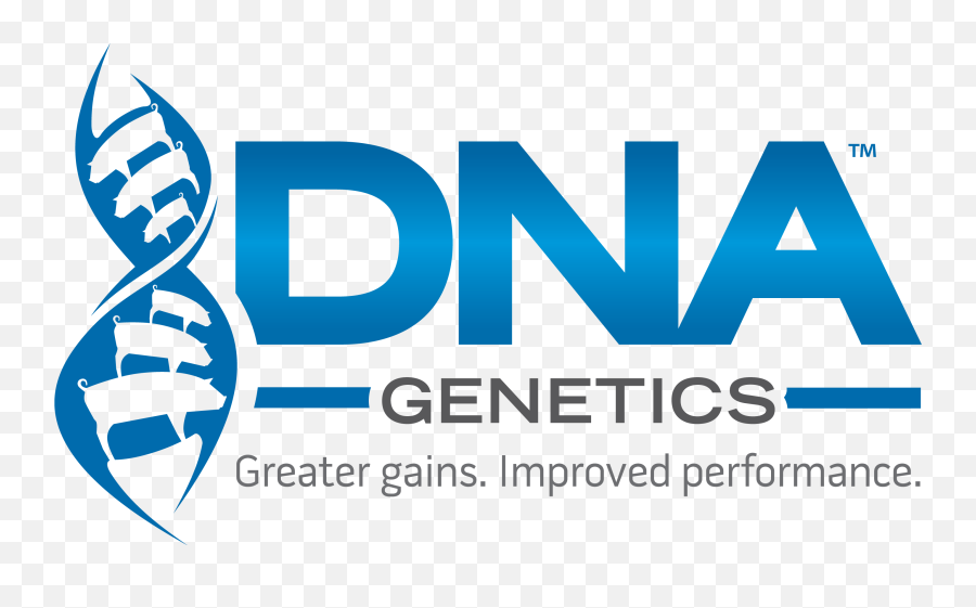 Dna Genetics U2013 Swine Home - Dna Genetics Pigs Png,Dna Transparent