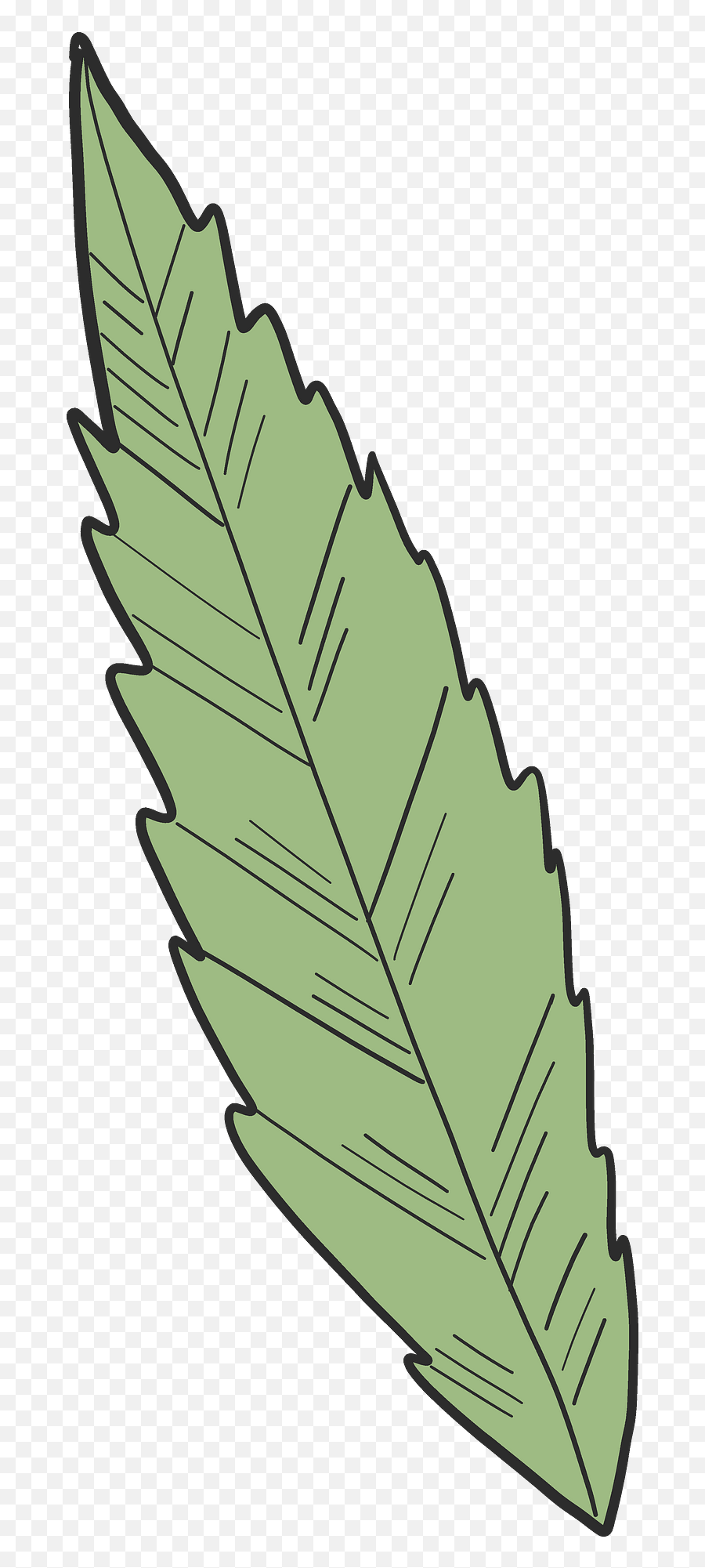 Marijuana Leaf Clipart Free Download Creazilla - Slippery Elm Png,Marijuana Leaf Transparent