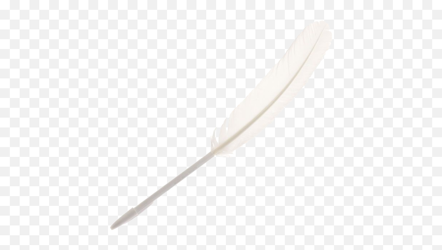 Feather Quill Pen Png