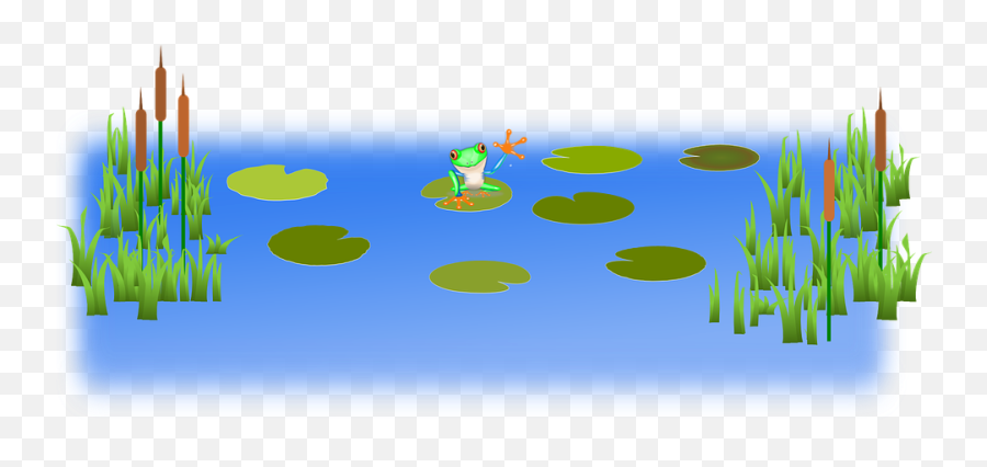 Download Free Png Cattails Frog Pond - Swamp Clipart Transparent Background,Pond Png
