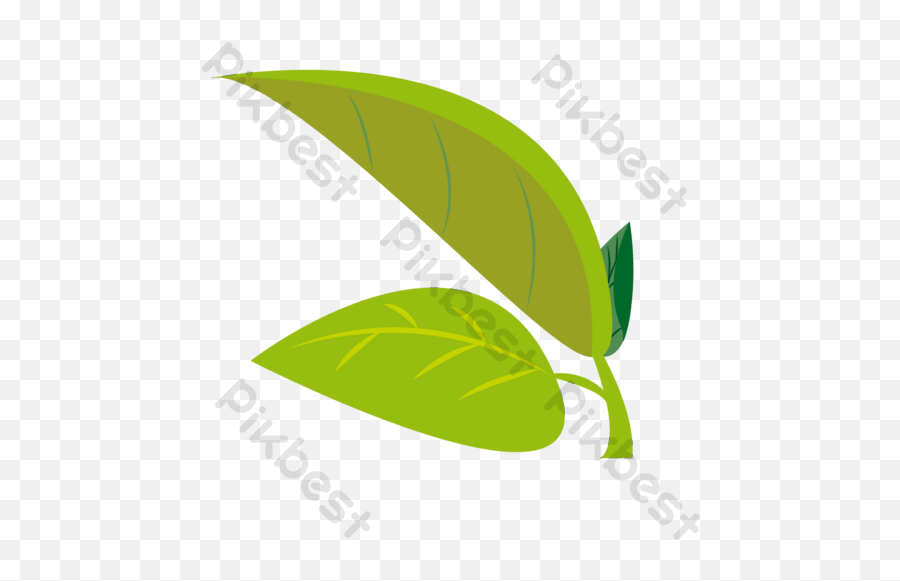 Drawing Minimalistic Green Leaves Vector Illustration Png - Fines Herbes,Leaf Bird Icon