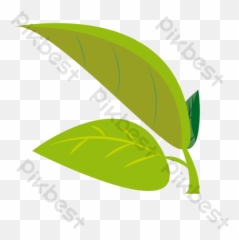 Drawing Minimalistic Green Leaves Vector Illustration Png - Fines Herbes