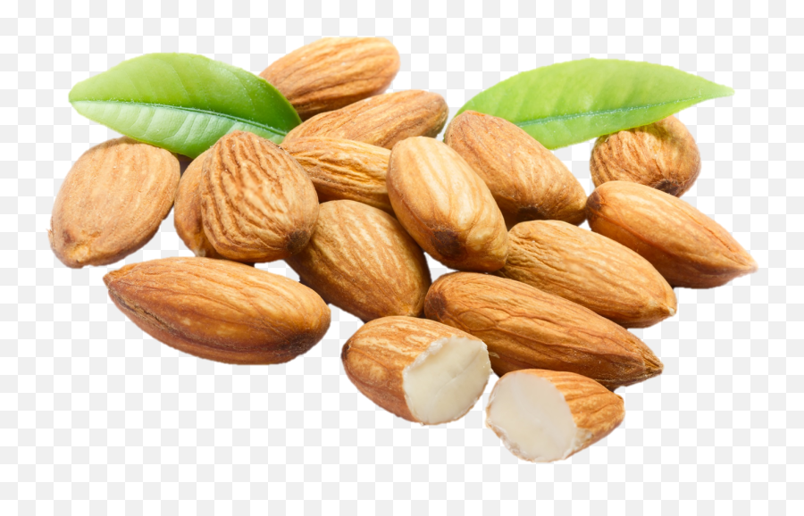 Hd Almonds Png Transparent Image - Almonds Png,Almonds Png