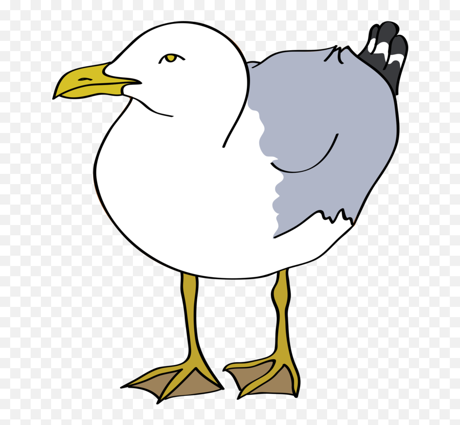 Seagull Cartoon Drawing - Clip Art Seagull Png,Seagull Png - free  transparent png images 