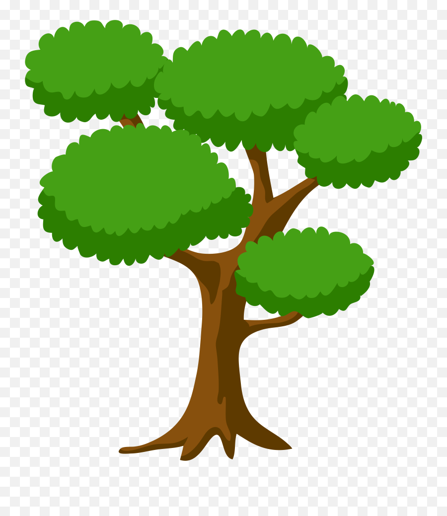 Library Of Tree Bark Freeuse Stock Png