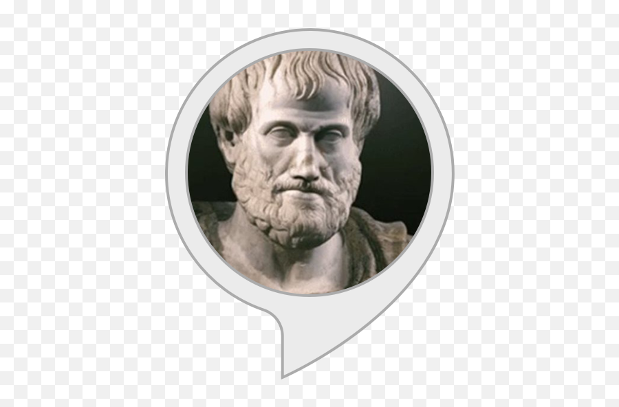 Amazoncom Daily Philosophy Alexa Skills - Vida E Obra De Aristoteles Png,Philosophy Png