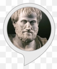 Amazoncom Daily Philosophy Alexa Skills - Vida E Obra De Aristoteles Png,Philosophy Png