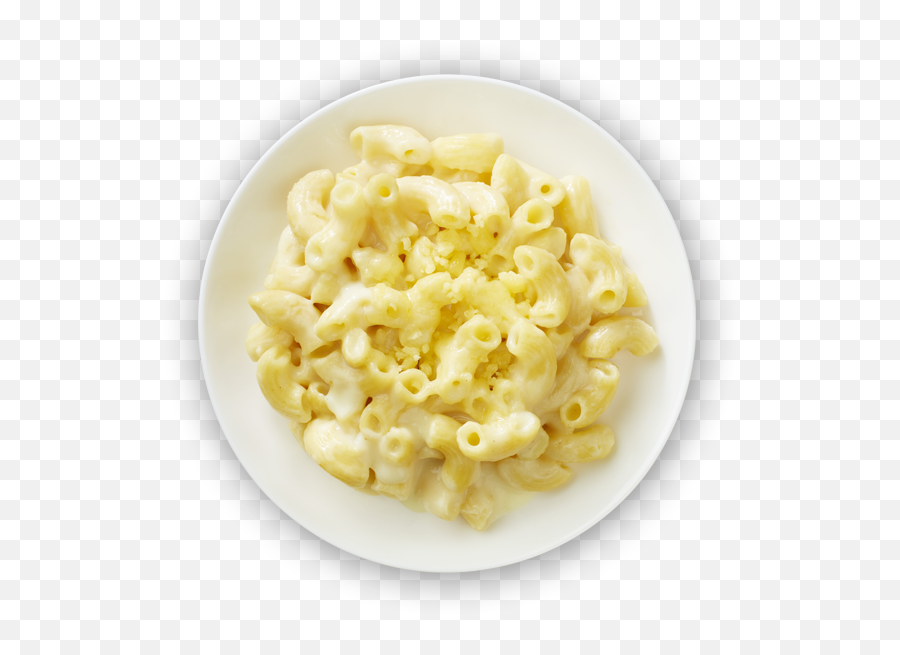 Macaroni Pasta Enricos - Pasta Png,Mac And Cheese Png