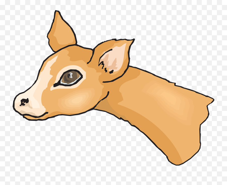 Deer Head Wildlife - Deer Eye Vector Png,Deer Head Png