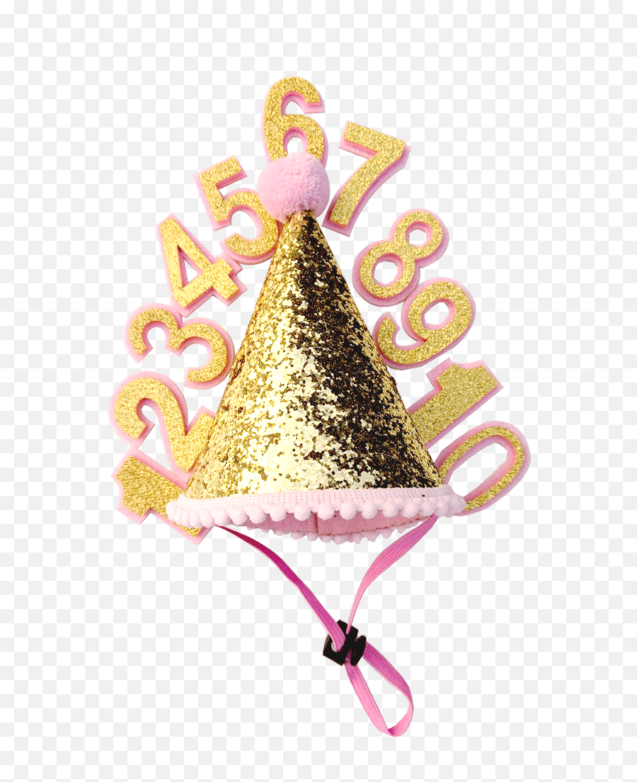 Download Birthday Party Hat For Dogs - Clip Art Png,Birthday Party Hat Png