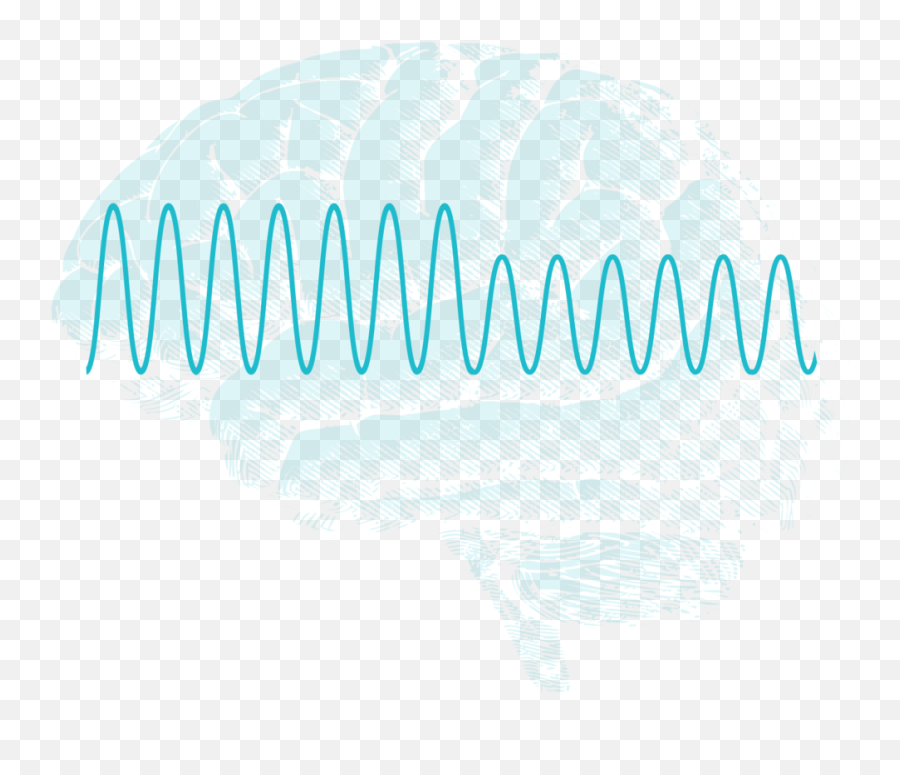 What Is Mert U2014 Brain Treatment Center Identify U0026 Nurture - Illustration Png,Brains Png