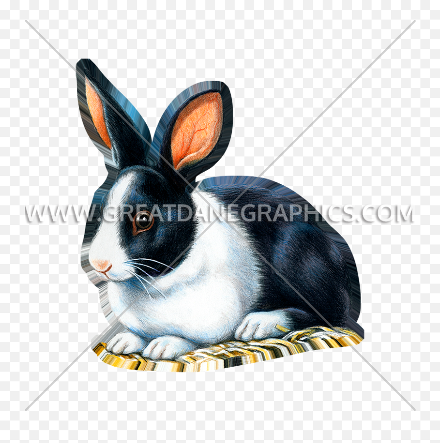 Black And White Rabbit Production Ready Artwork For T - Domestic Rabbit Png,White Bunny Png