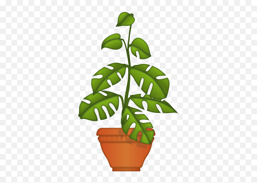 Emoji U2013 The Official Brand Big Leaf Plant - Plant Emoji Png,Monstera Leaf Png