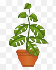 Emoji U2013 The Official Brand Big Leaf Plant - Plant Emoji Png,Monstera Leaf Png