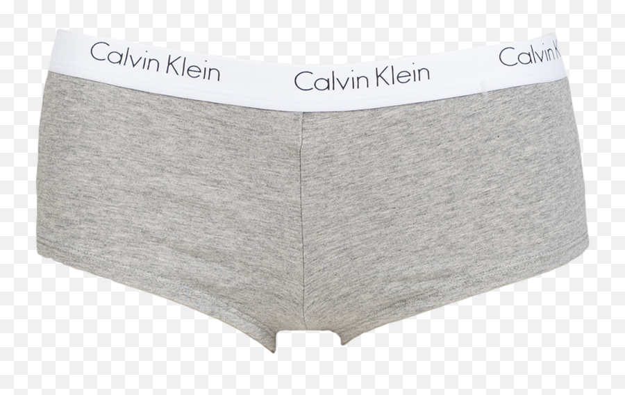 Greyish White Underwear 000qf1370e Calvin Klein Womens - Briefs Png,Calvin Klein Logo Png