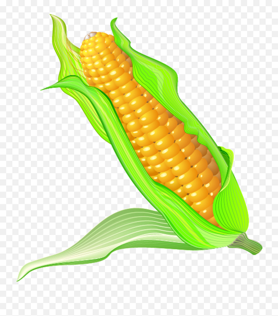 On The Cob Cartoon Transprent Png Free - Cartoon Corn On The Gambar Kartun Jagung,Corn On The Cob Png