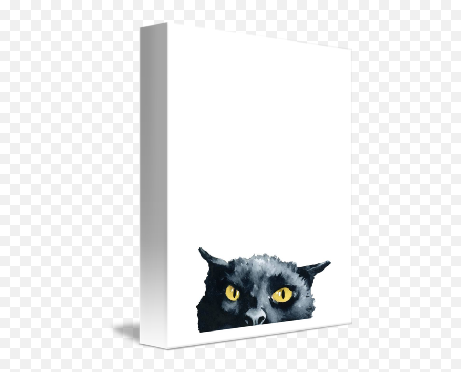 Angry Black Cat By David Rogers - Black Cat Png,Angry Cat Png