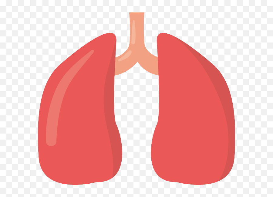 Animated Lungs Png Image Arts - Animated Lungs Png,Animated Png