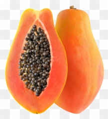 The 4 Amazing Benefits Of Papaya U2014 Cannon Movement - White Background Papaya Png,Papaya Png