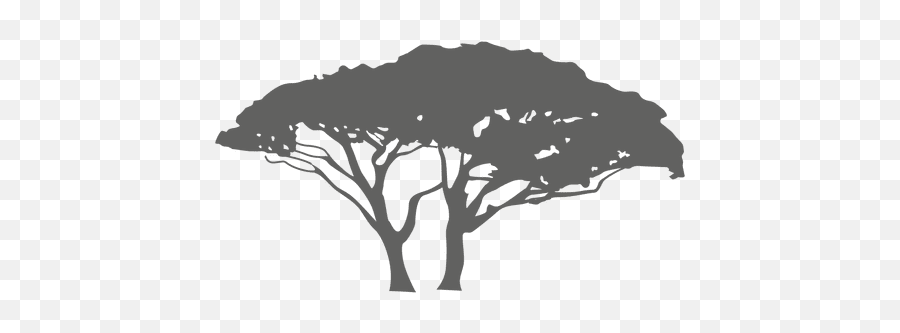 Exotic Tree Silhouette - Transparent Png U0026 Svg Vector File Exotic Tree Silhouette Png,Trees Silhouette Png