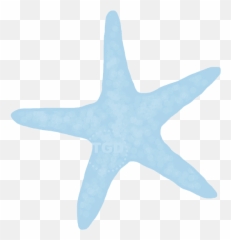 Starfish - Palm Beach Sandals 7 Png,Starfish Png
