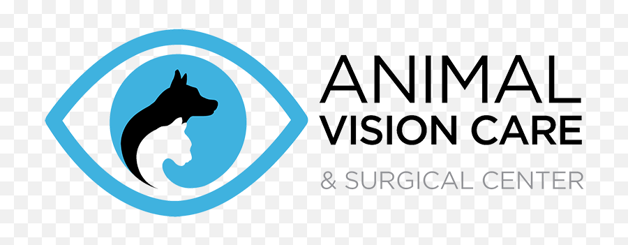 Veterinary Ophthalmologist In Studio City Ca Animal - Vision Animal Logo Png,Animal Png