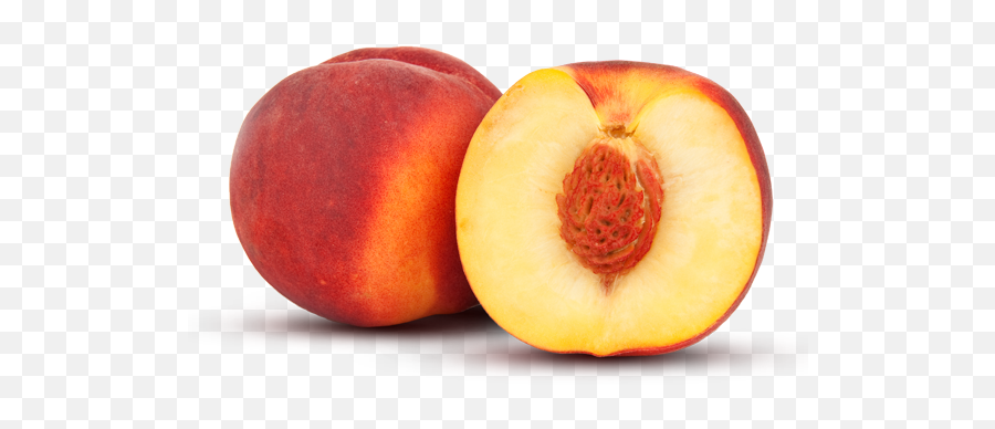 Download Free Png Background - Peachtransparent Dlpngcom Peach Png,Peach Transparent Background