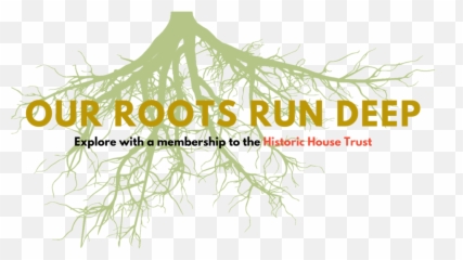 The Historic House Trust - Roots Cartoon Png,New York City Png