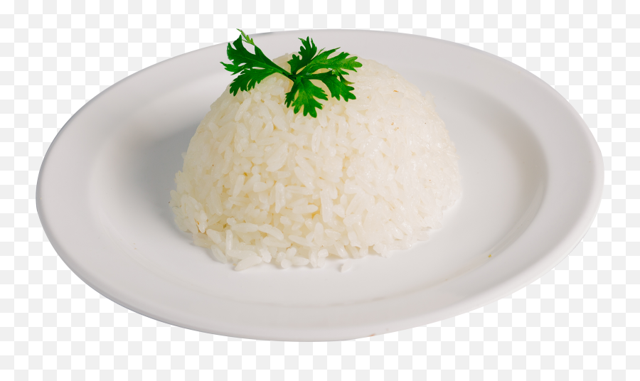 Wishlist Browse - Cooked White Rice Png,Arroz Png