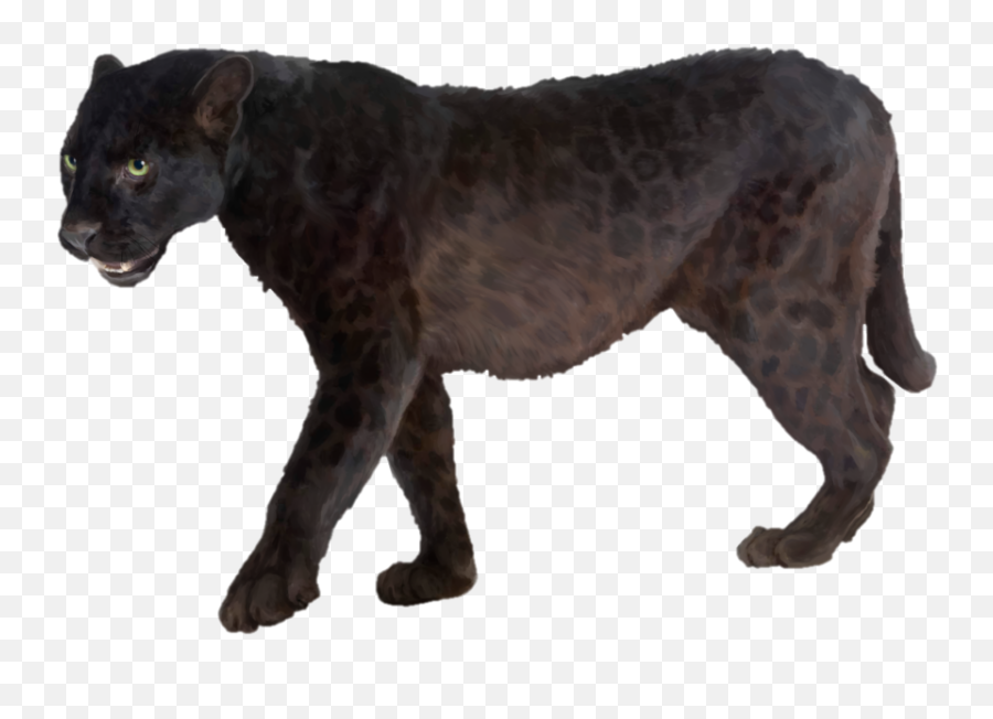 Download Free Png Panther Transparent Picture - Dlpngcom Transparent Background Panther Png,Black Panther Transparent