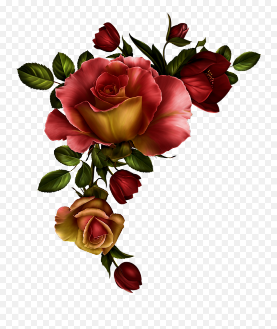 Floral Divider Png - Watercolor Red Roses Png Transparent Red Roses Png Transparent,Cartoon Rose Png