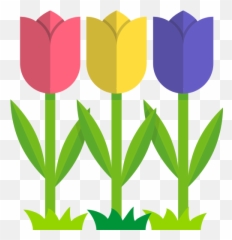 Tulip Png Icons And Graphics - Repo Free Transparent Background Clipart