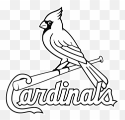 Cardinal Clipart St Louis Cardinals Png