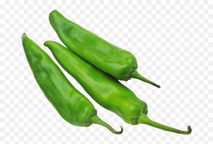 Authentic All Natural Hatch Green Chile In Denver Co - Green Chili Pepper Png,Chile Png