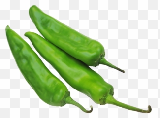 Authentic All Natural Hatch Green Chile In Denver Co - Green Chili Pepper Png,Chile Png