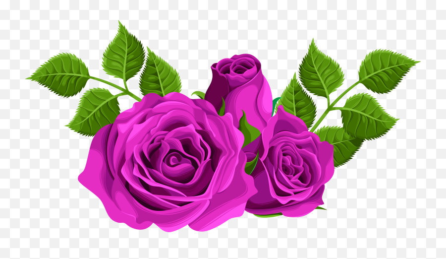 Download Free Png Purple Roses Decorative Clip Art Image - Flower Rose Png,Rose Clipart Png