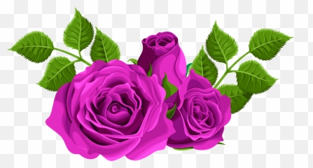 Download Free Png Purple Roses Decorative Clip Art Image - Flower Rose Png,Rose Clipart Png