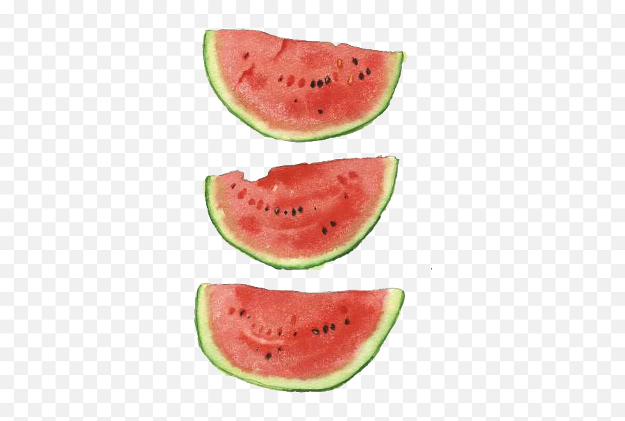 Download Hd Watercolor Watermelon Png