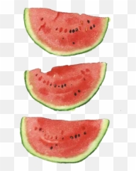 Download Hd Watercolor Watermelon Png