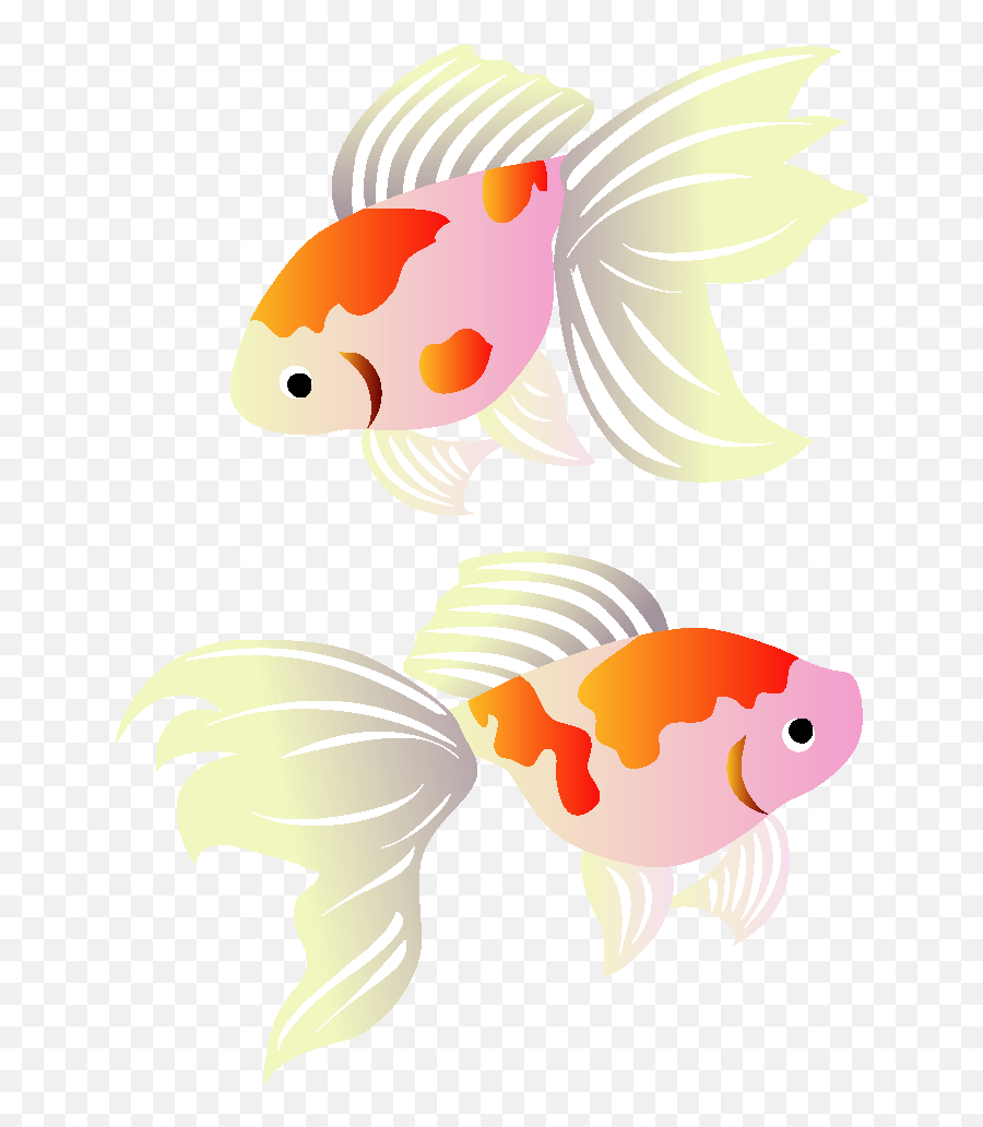 Download Koi Greeting Illustration Cards Goldfish Post Hq - Cartoon Png,Koi Png