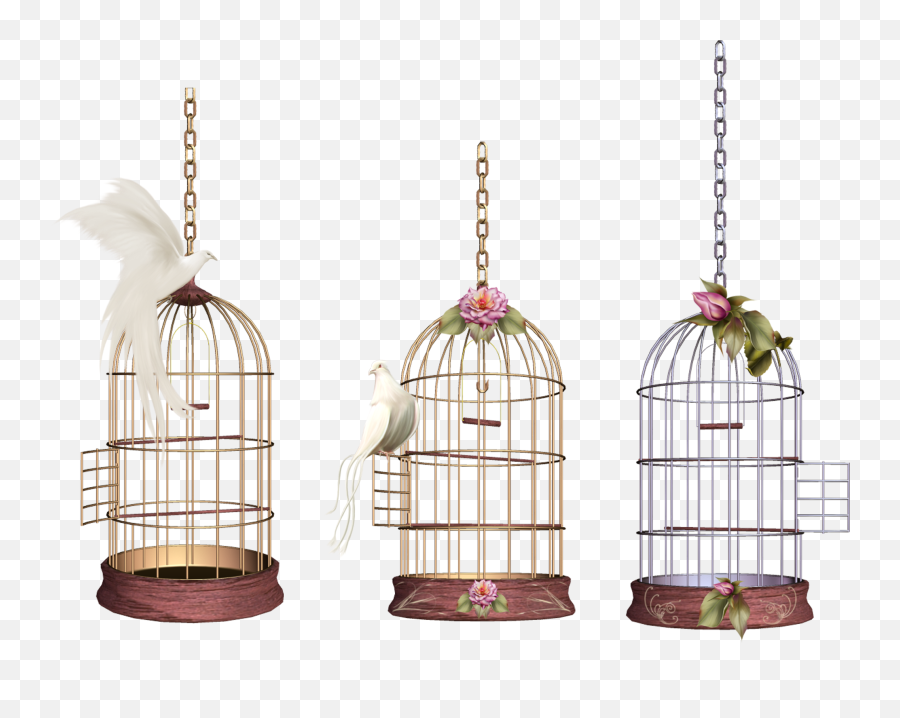 White Bird Cage Png Image - Bird Cage Png,Bird Cage Png