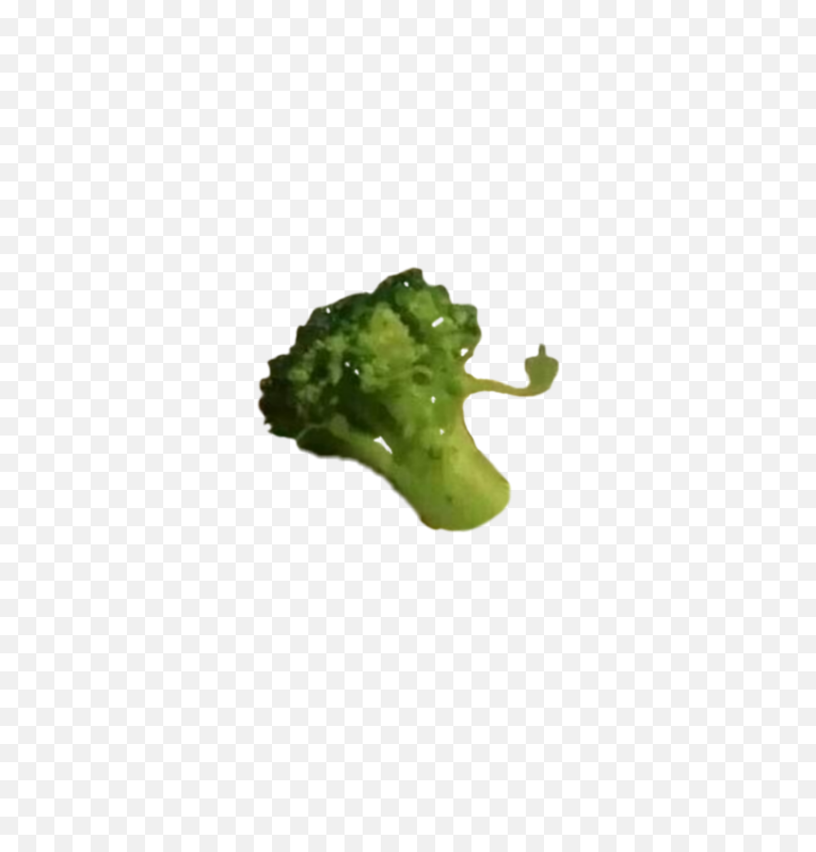 Broccoli - Maybe Your Broccoli Doesn T Like You Either Png,Brocoli Png