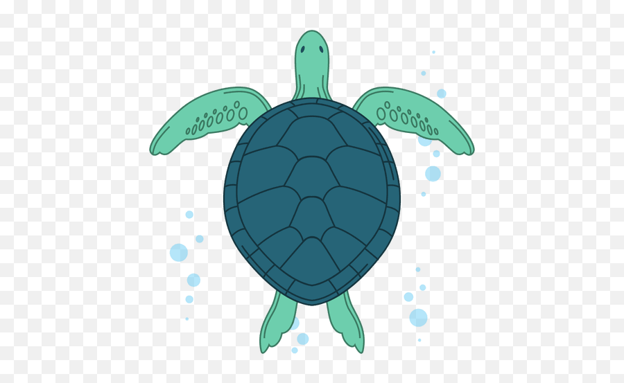 Sea Turtle Illustration - Transparent Png U0026 Svg Vector File Tortuga Marina Png,Turtle Transparent Background
