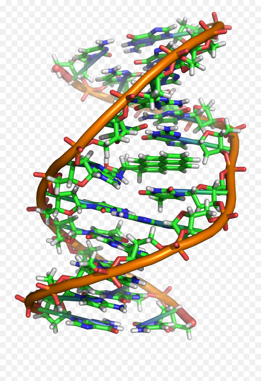 Government Has Been Amassing Dna - Benzo A Pyrene Dna Adduct Png,Tinfoil Hat Png