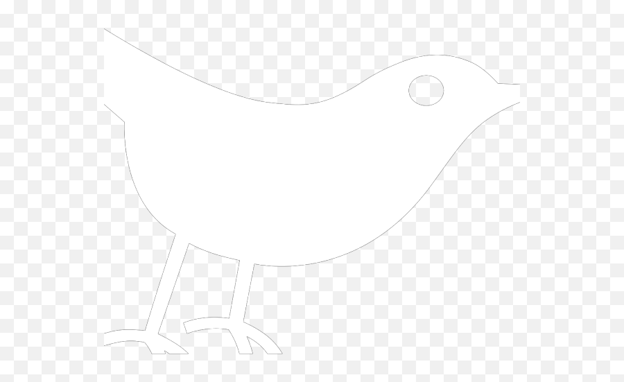 Twitter Bird White Png Svg Clip Art - Old World Flycatcher,Twitter White Png